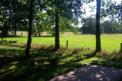 Omgeving