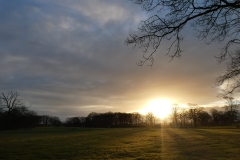 Omgeving